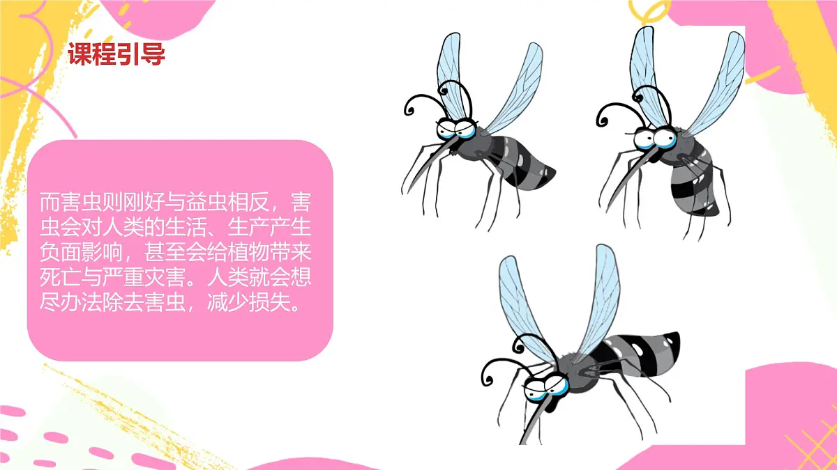 学前教育大班《昆虫王国》课件第8页