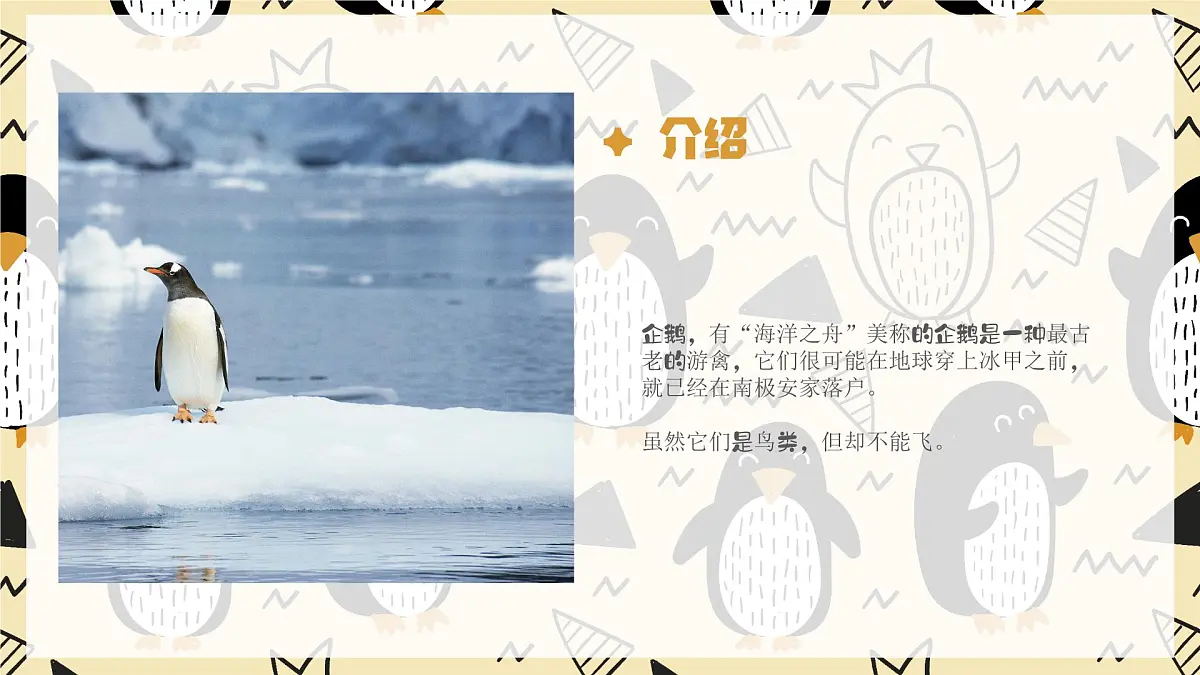 学前教育大班《企鹅爸爸》课件第5页