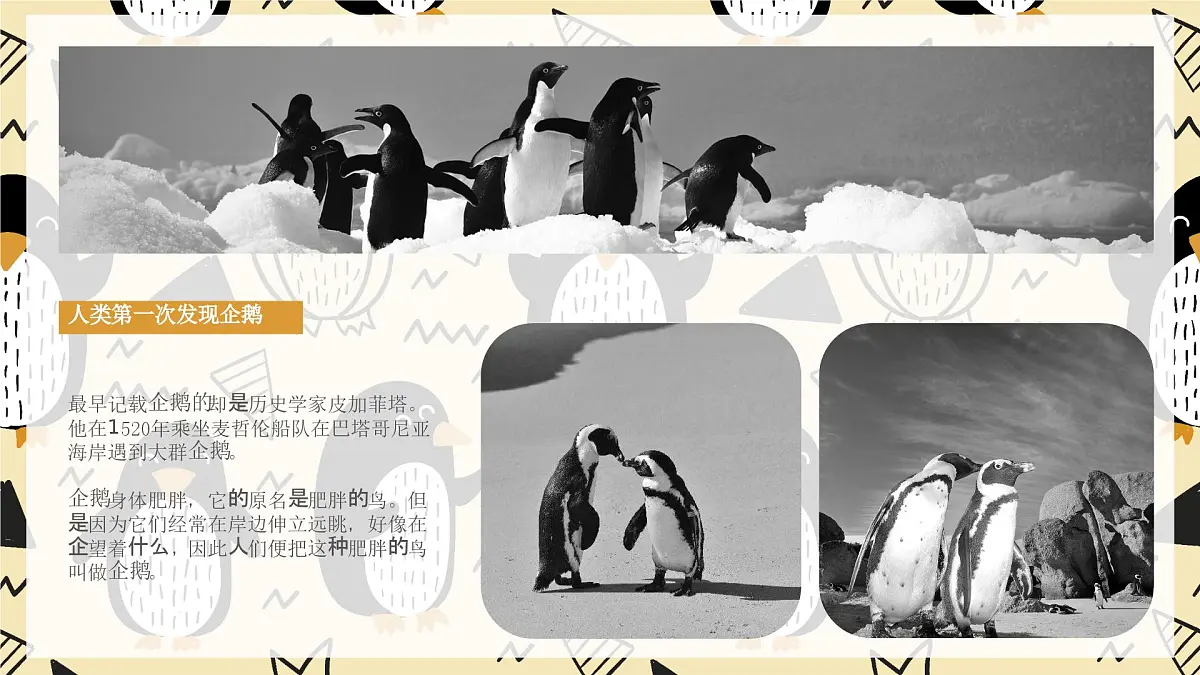学前教育大班《企鹅爸爸》课件第6页