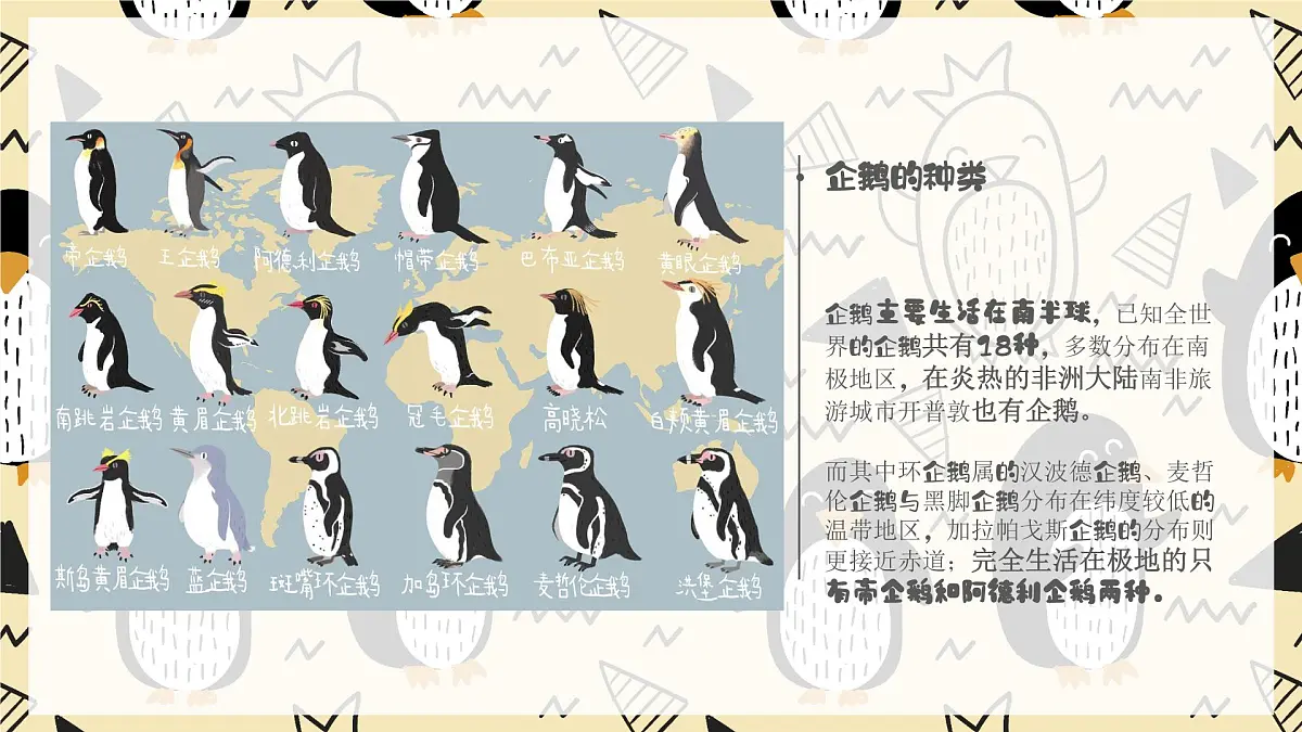 学前教育大班《企鹅爸爸》课件第7页