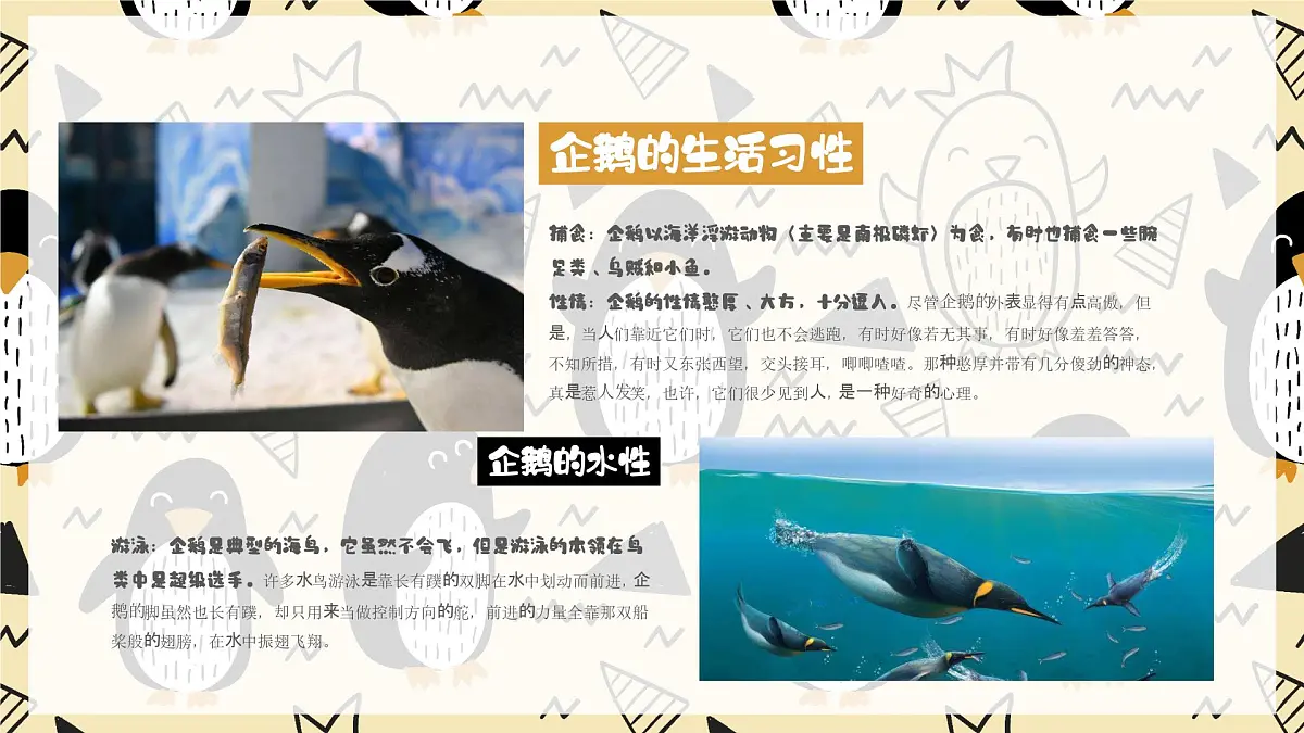 学前教育大班《企鹅爸爸》课件第8页