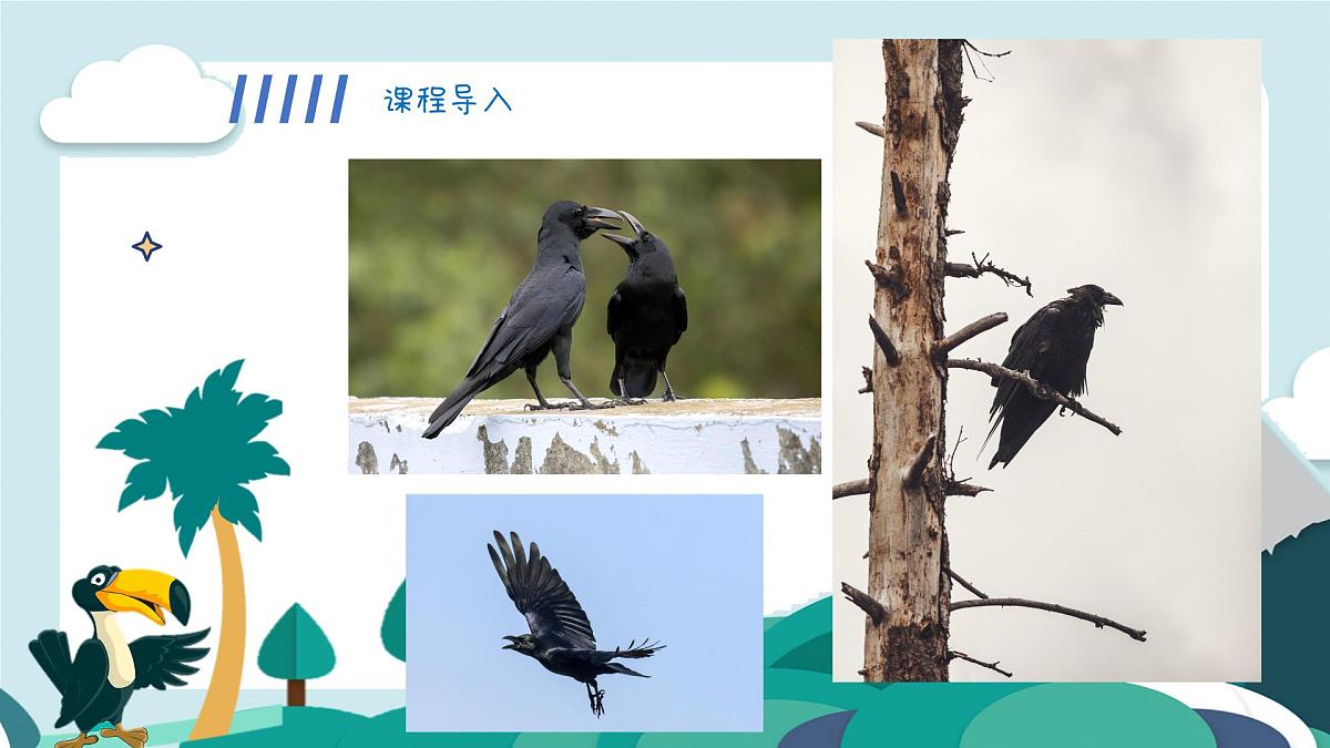 学前教育大班《乌鸦喝水》课件第4页