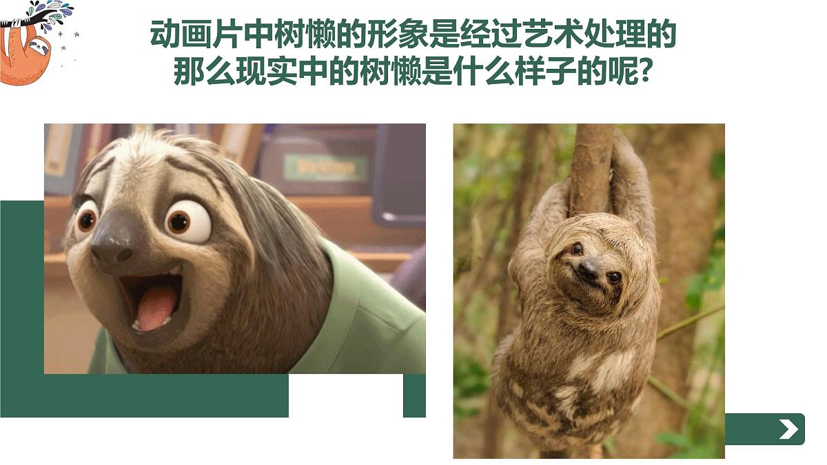 学前教育大班《Hi~我~是~树~懒~》课件第5页