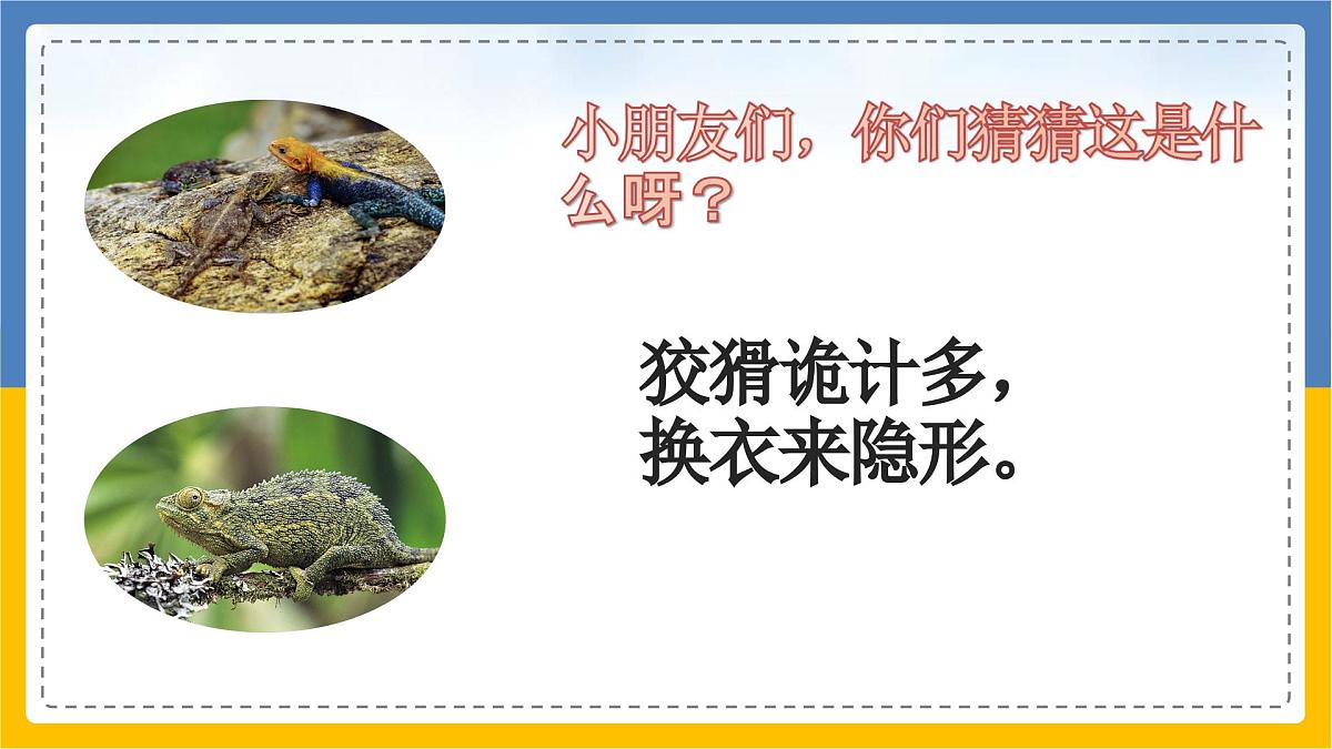 学前教育大班《吃苍蝇的变色龙》课件第4页