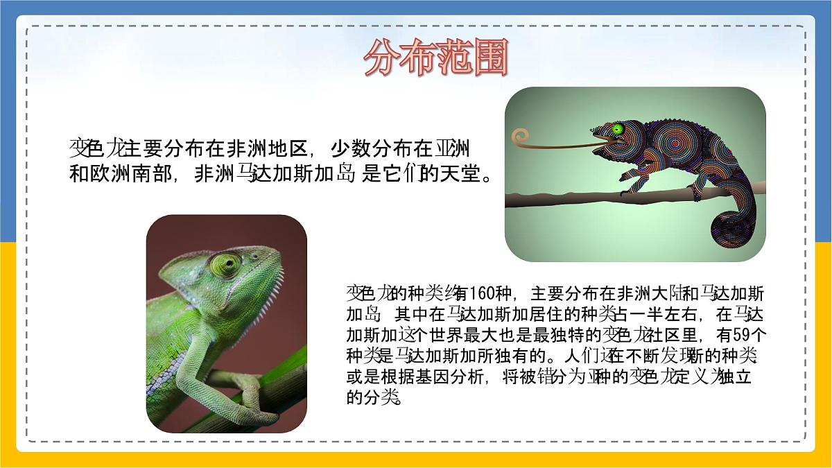 学前教育大班《吃苍蝇的变色龙》课件第8页