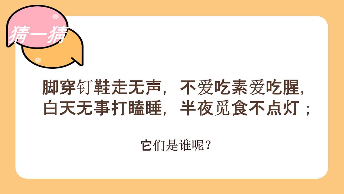 学前教育大班《爱玩泡沫的线球猫》课件第4页