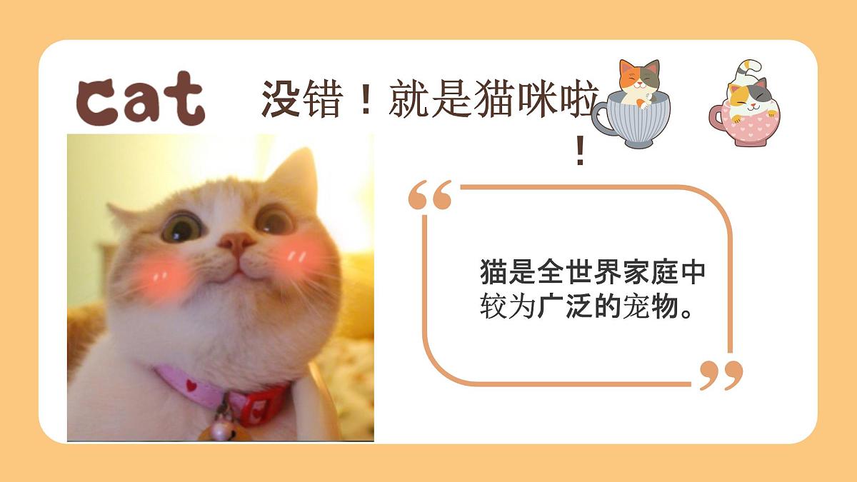 学前教育大班《爱玩泡沫的线球猫》课件第5页