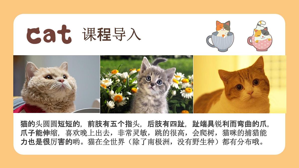 学前教育大班《爱玩泡沫的线球猫》课件第7页
