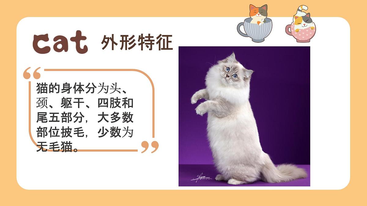学前教育大班《爱玩泡沫的线球猫》课件第8页