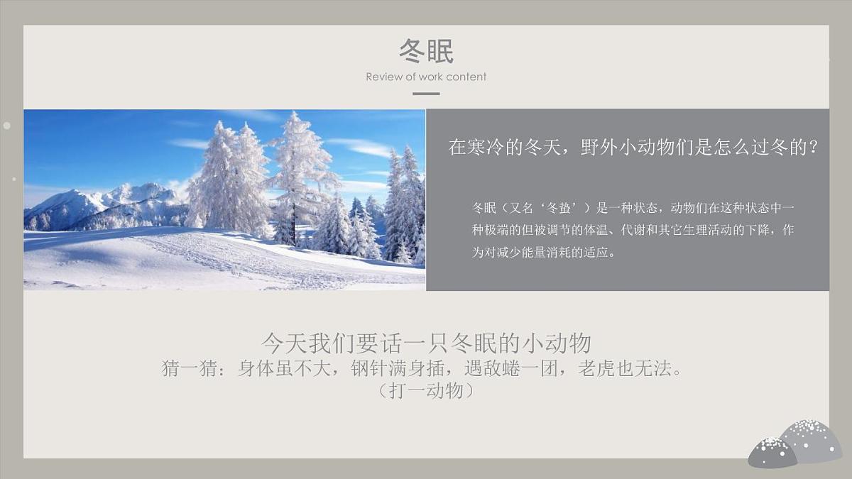 学前教育大班《冬眠的小刺猬》课件第4页
