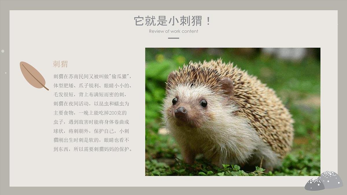 学前教育大班《冬眠的小刺猬》课件第5页