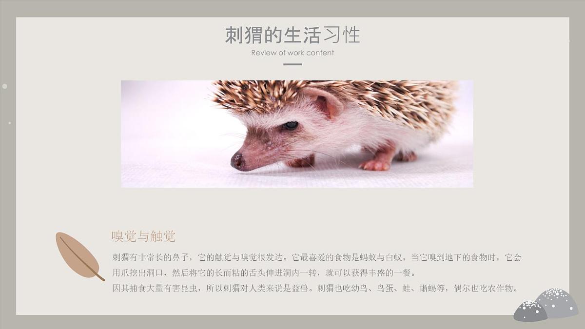 学前教育大班《冬眠的小刺猬》课件第6页