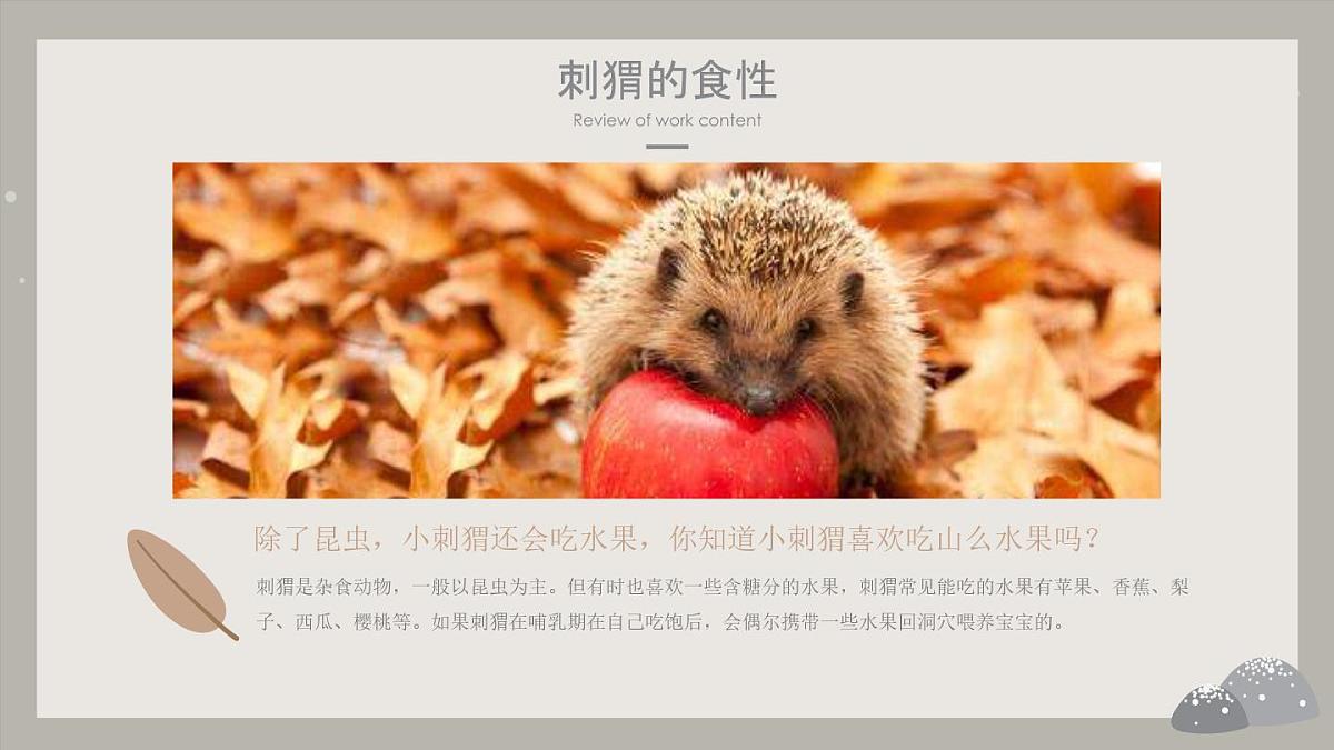 学前教育大班《冬眠的小刺猬》课件第7页