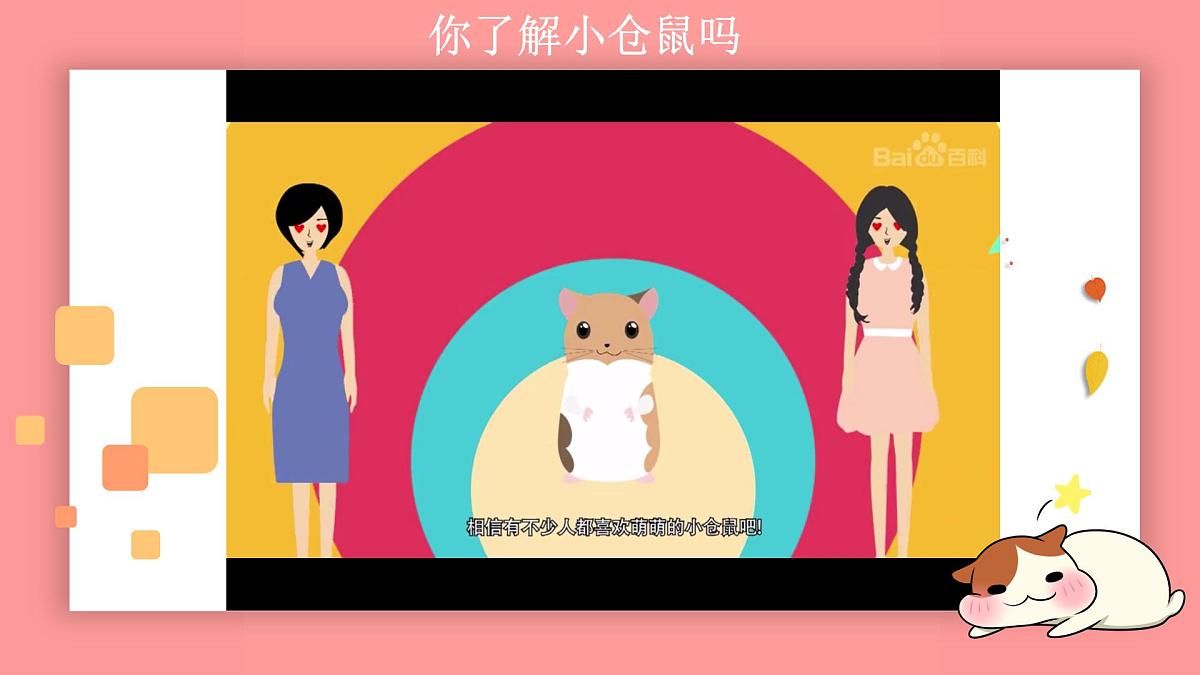 学前教育大班《小仓鼠》课件第5页