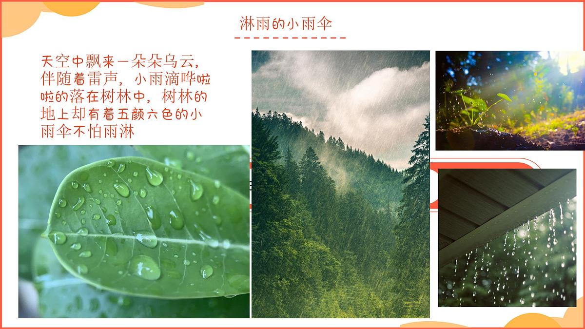 学前教育大班《雨中蘑菇林》课件第4页
