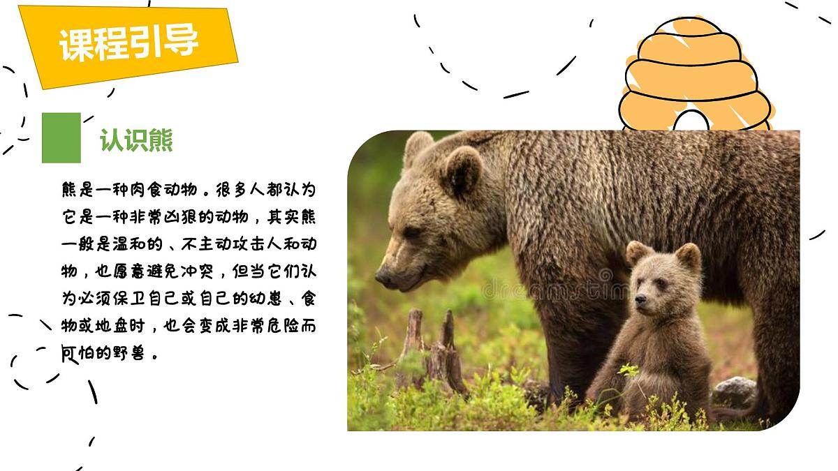学前教育大班《蜂蜜熊》课件第6页