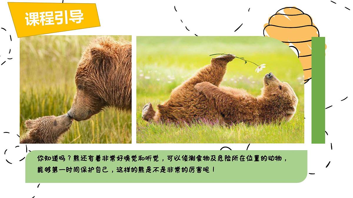 学前教育大班《蜂蜜熊》课件第7页