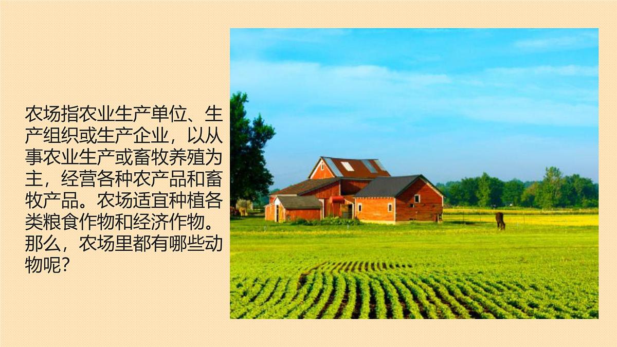 学前教育大班《方块动物——农场》课件第4页