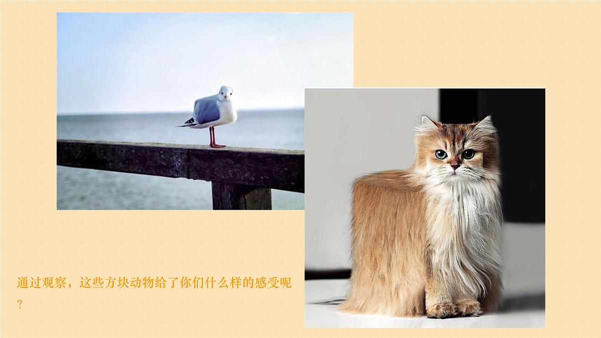 学前教育大班《方块动物——农场》课件第8页