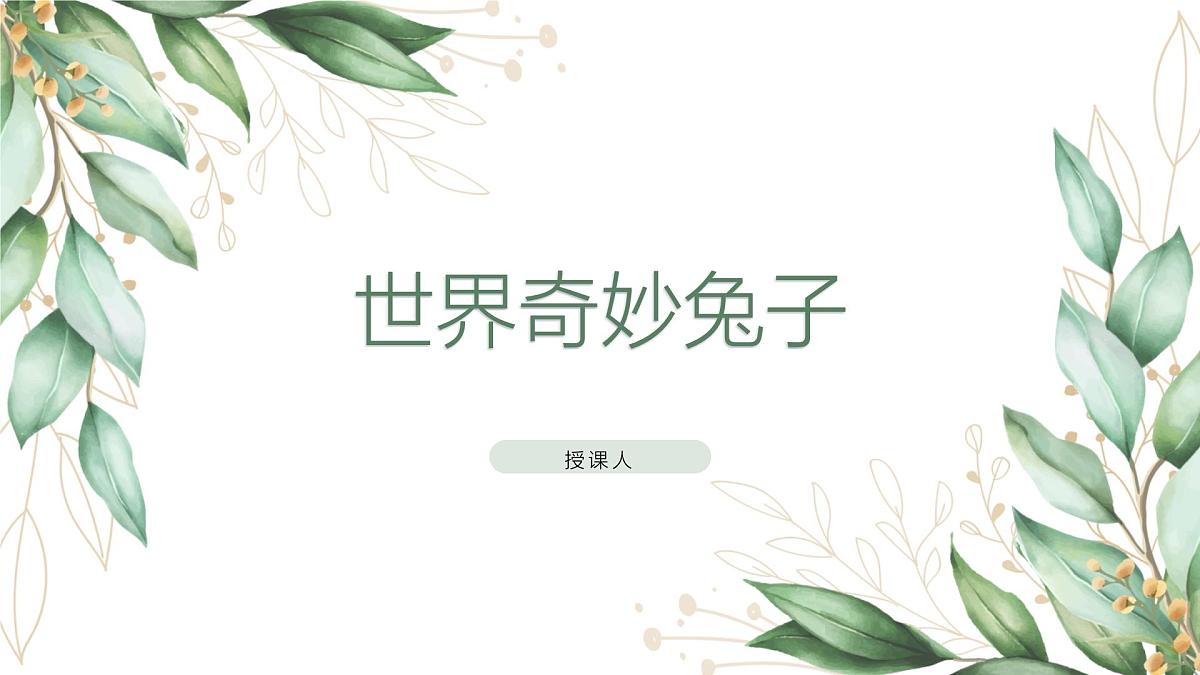 学前教育大班《世界奇妙兔子》课件第1页