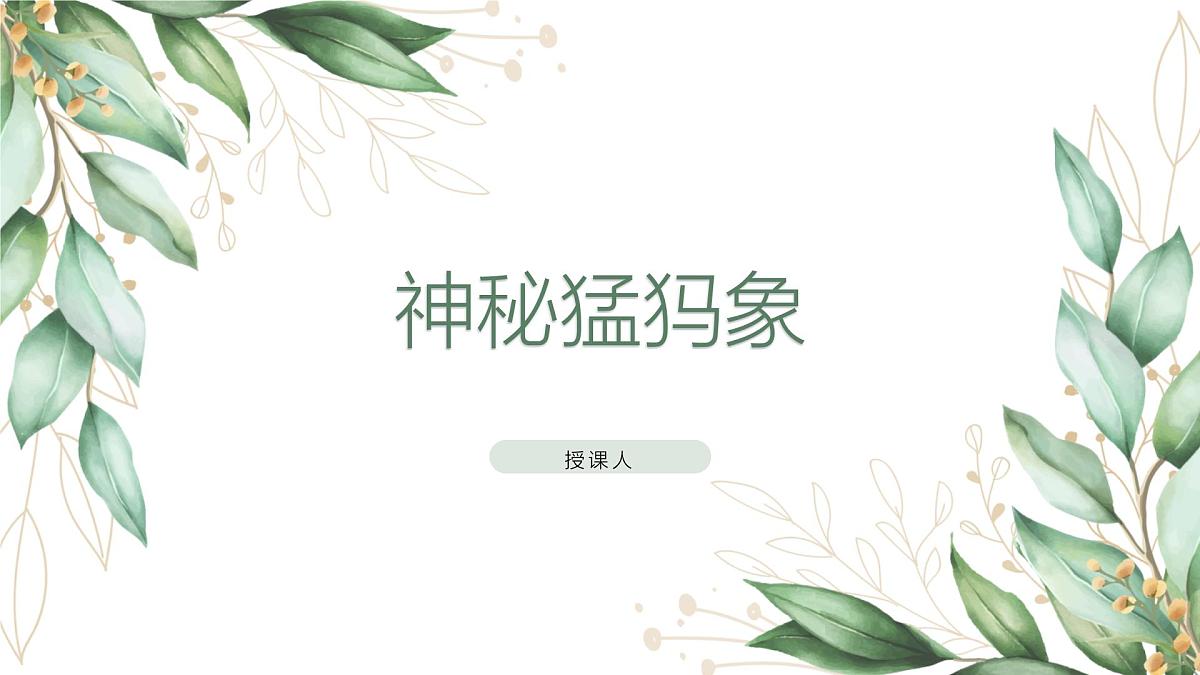 学前教育大班《神秘猛犸象》课件第1页