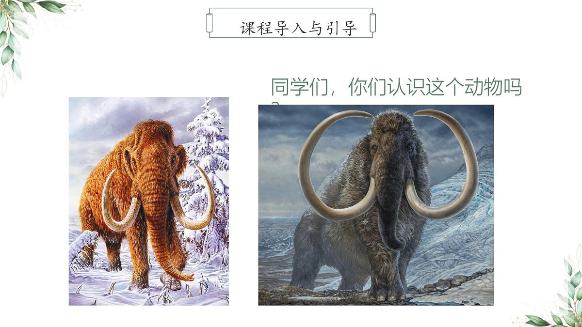 学前教育大班《神秘猛犸象》课件第8页