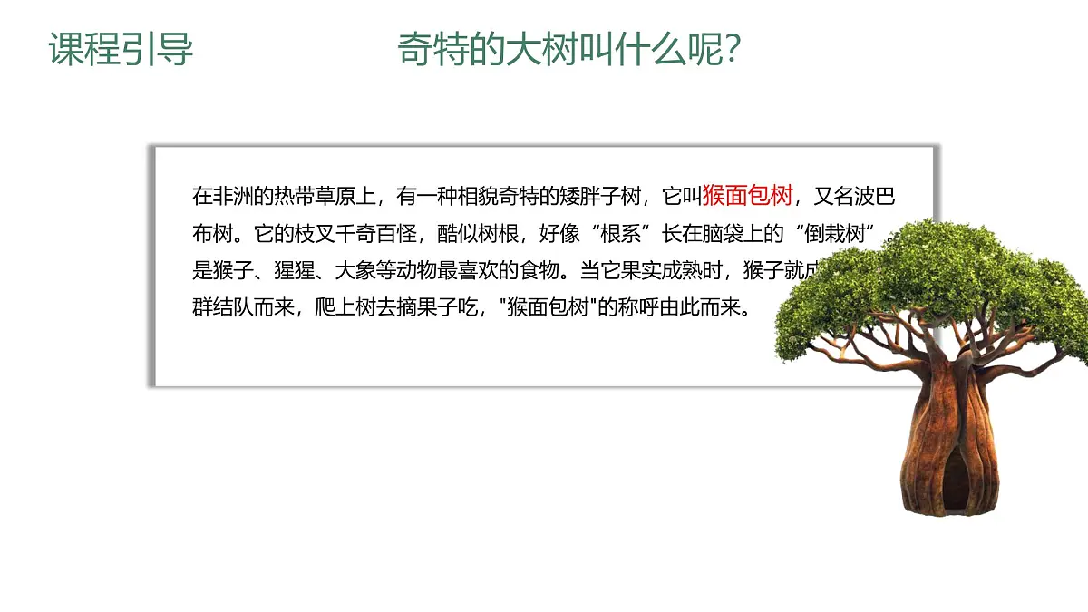 学前教育大班《轮廓塑造猴面包树屋》课件第8页