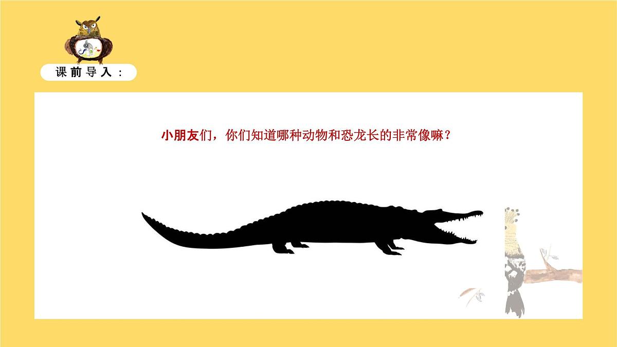学前教育大班《鳄鱼的周末》课件第4页