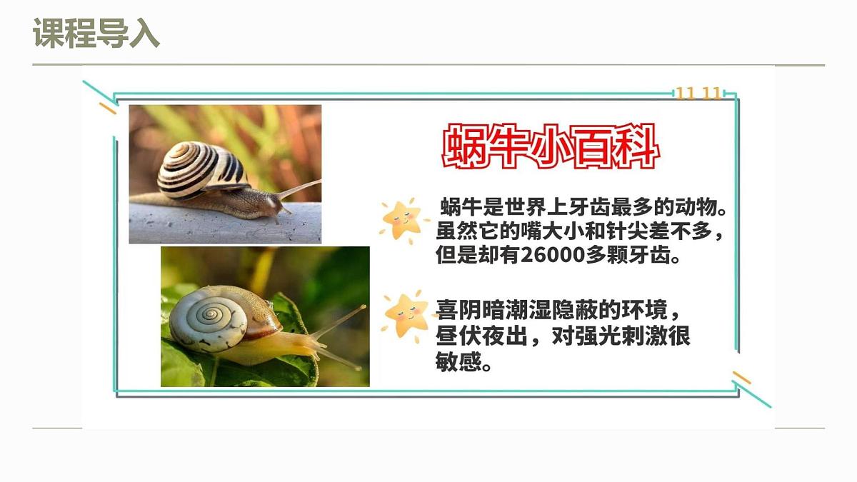 学前教育大班《蜗牛与蘑菇》课件第8页