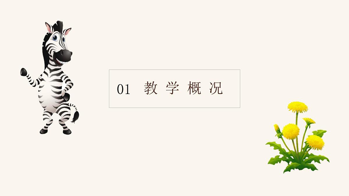 学前教育大班《斑马弯弯》课件第3页