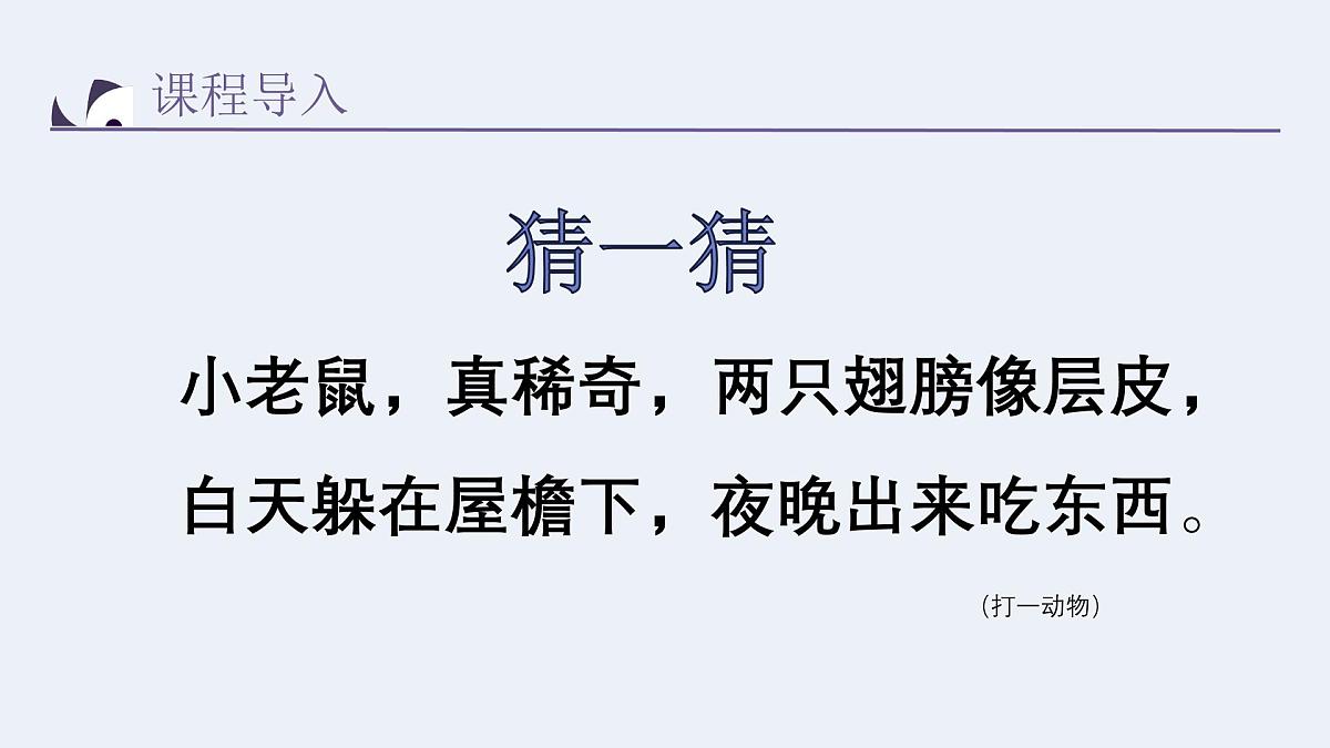 学前教育大班《蝙蝠睡着了》课件第6页