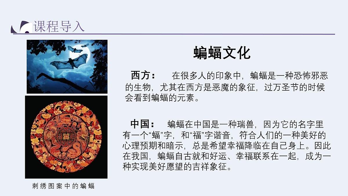 学前教育大班《蝙蝠睡着了》课件第8页