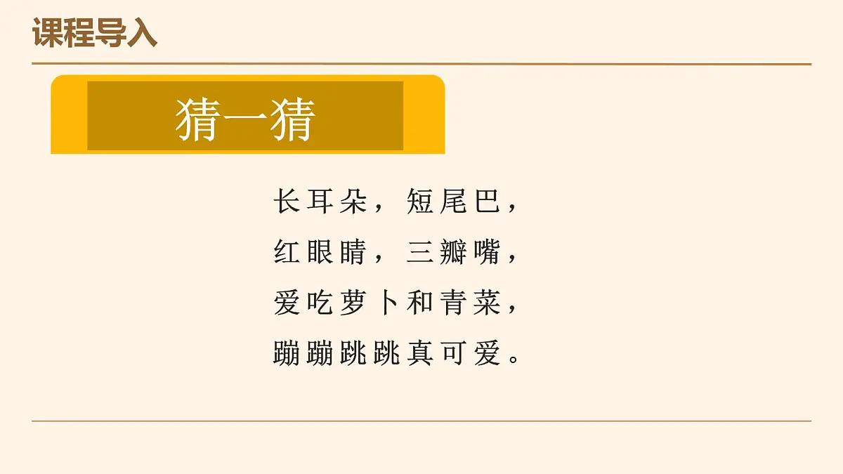 学前教育大班《呆萌兔与小萝卜》课件第6页