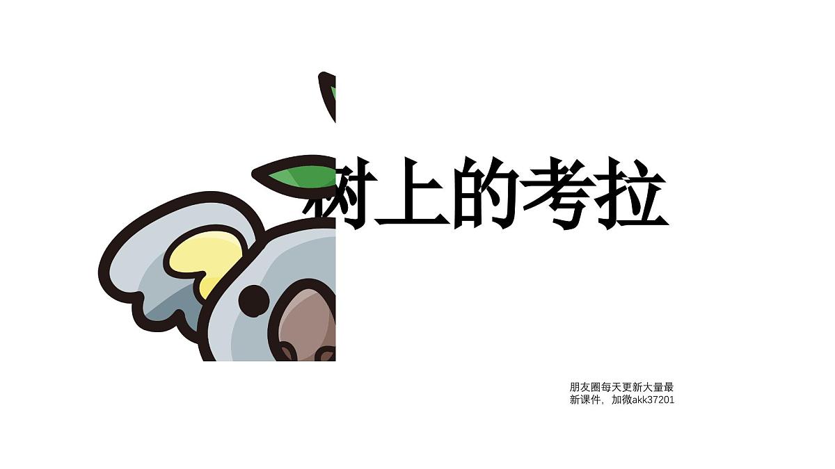学前教育大班《考拉》课件第1页