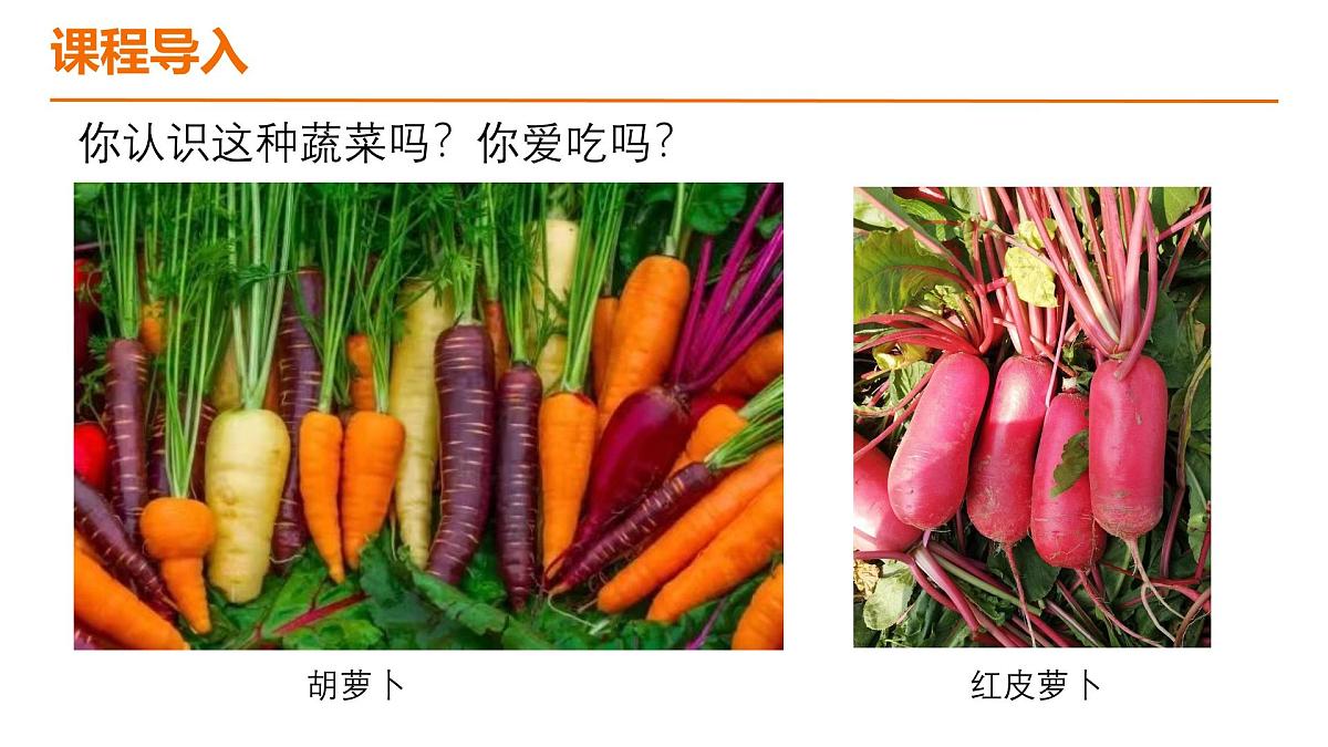 学前教育大班《萝卜逃跑啦》课件第6页