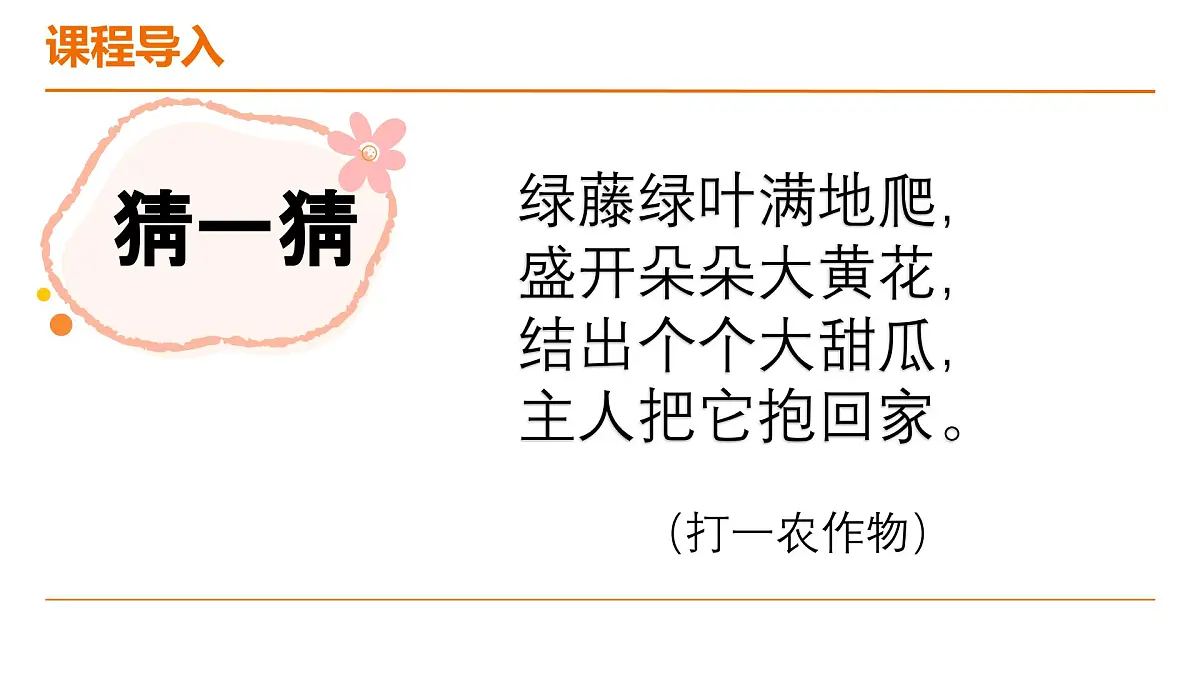 学前教育大班《南瓜地里的小客人》课件第6页