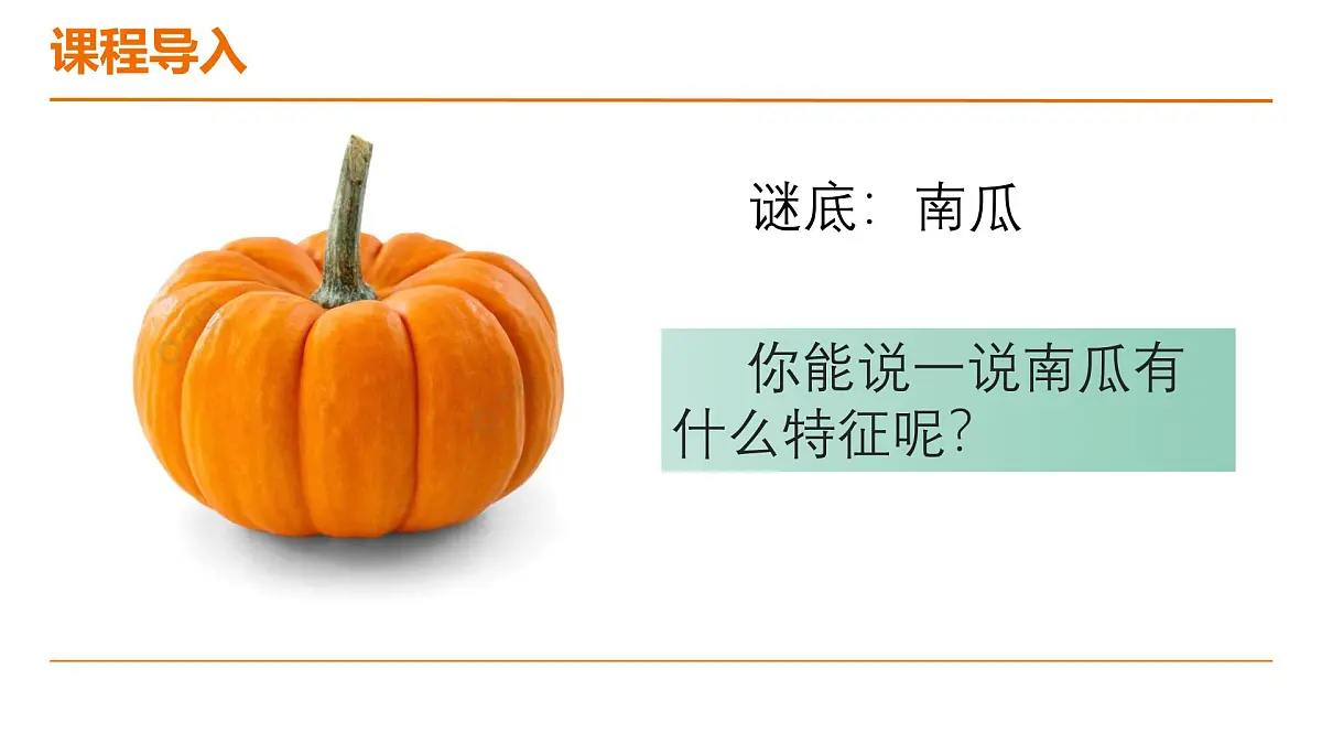 学前教育大班《南瓜地里的小客人》课件第7页