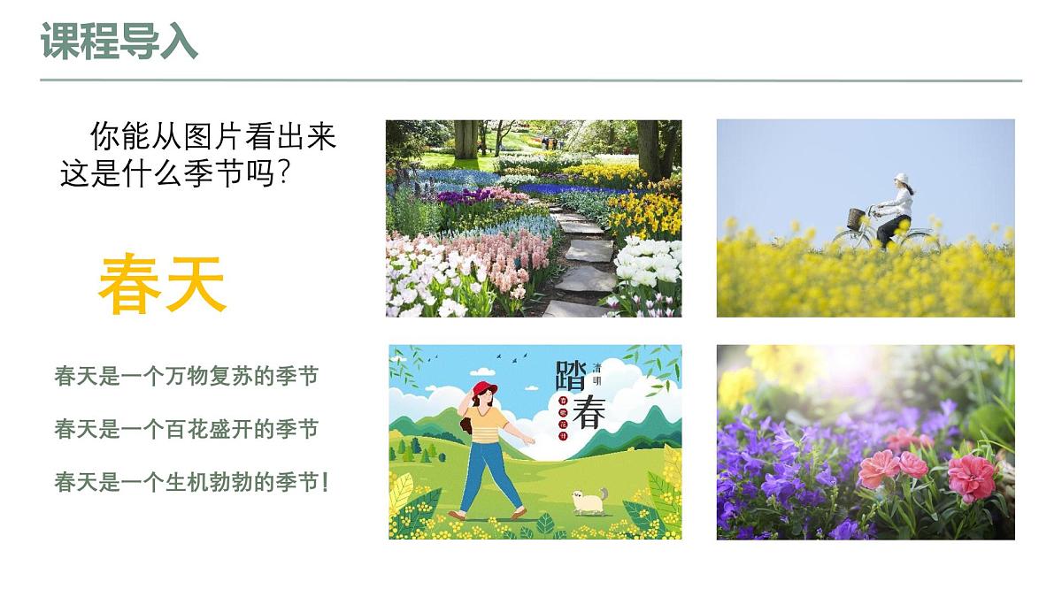 学前教育大班《企鹅抓蝴蝶》课件第6页