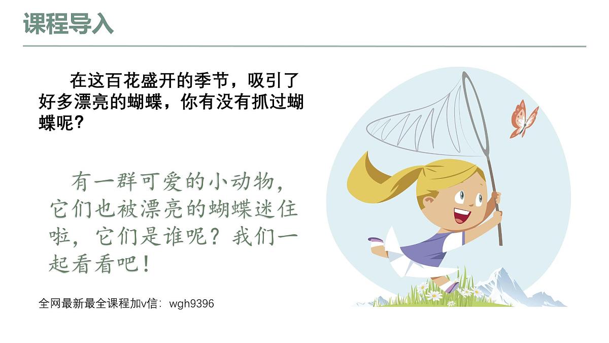 学前教育大班《企鹅抓蝴蝶》课件第7页