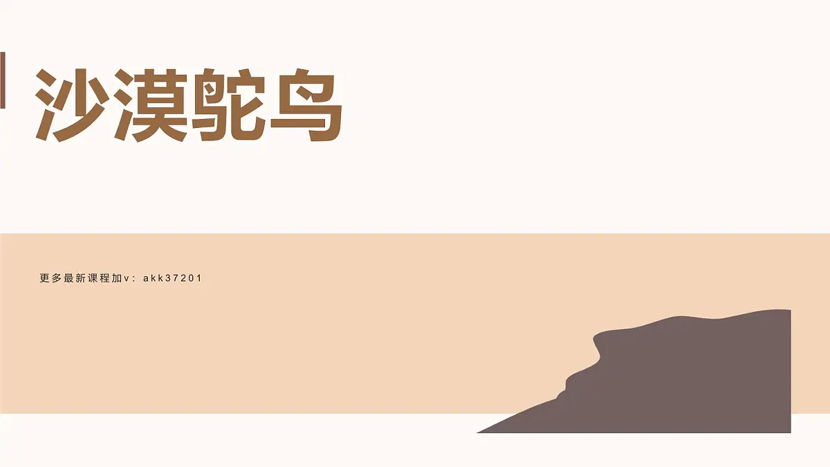 学前教育大班《沙漠鸵鸟》课件第1页