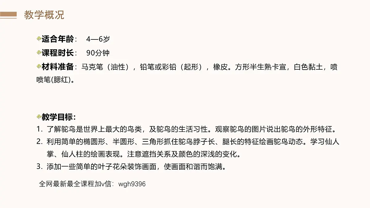 学前教育大班《沙漠鸵鸟》课件第4页