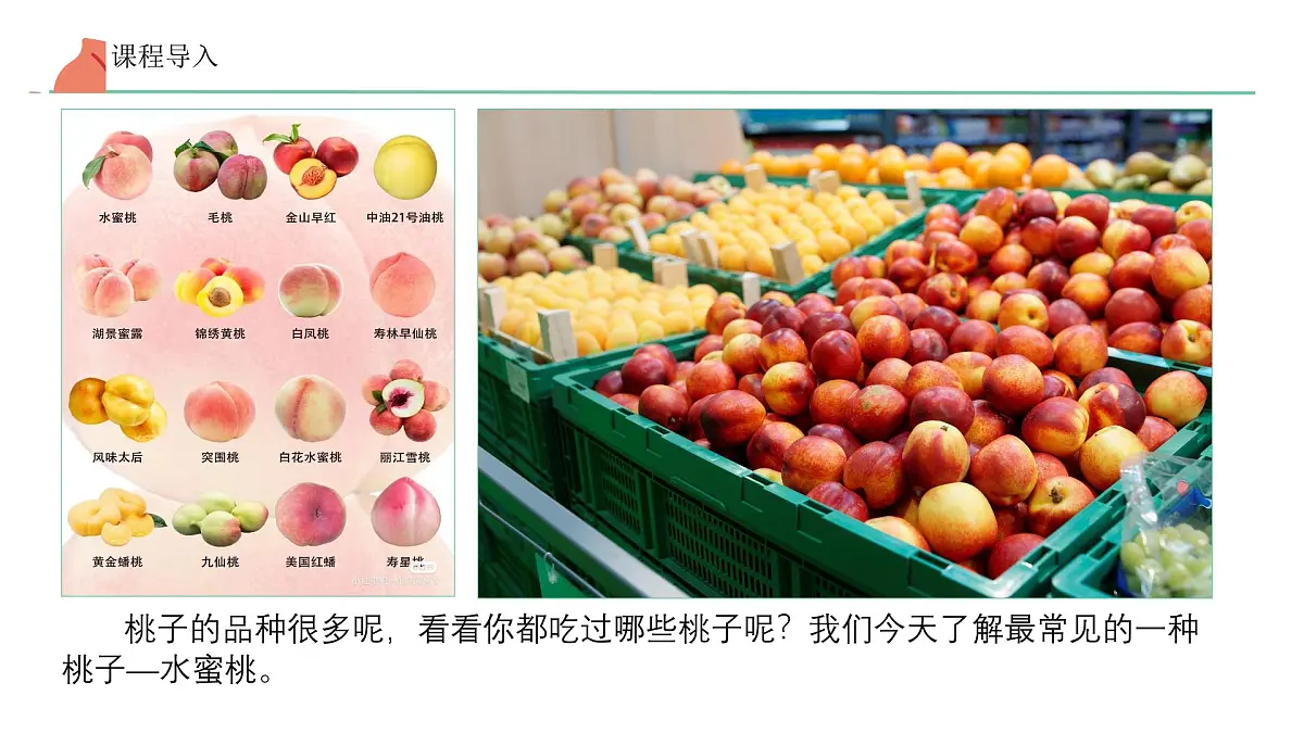 学前教育大班《桃子》2》课件第8页