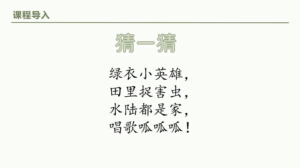 学前教育大班《小青蛙会躲雨》课件第6页