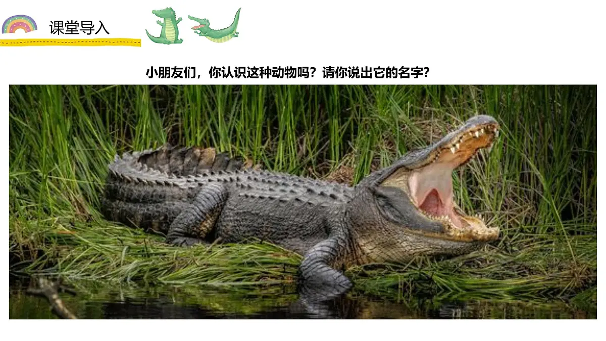 学前教育大班《鳄鱼要拔牙》课件第6页