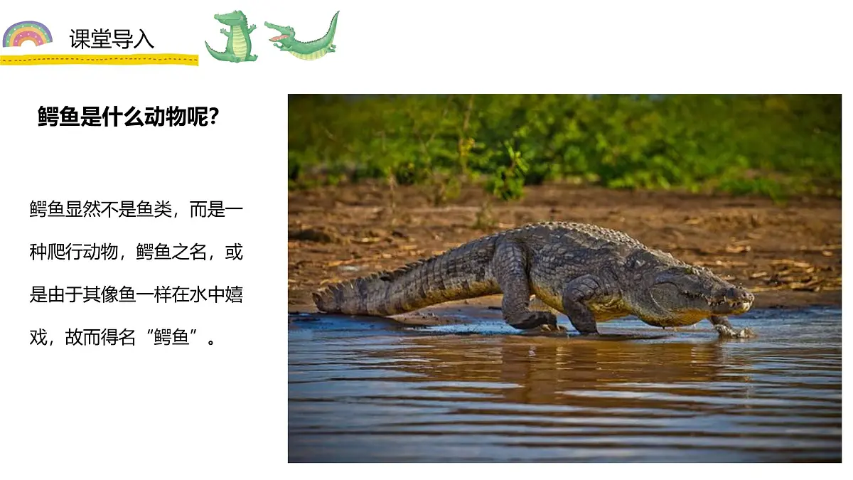 学前教育大班《鳄鱼要拔牙》课件第7页