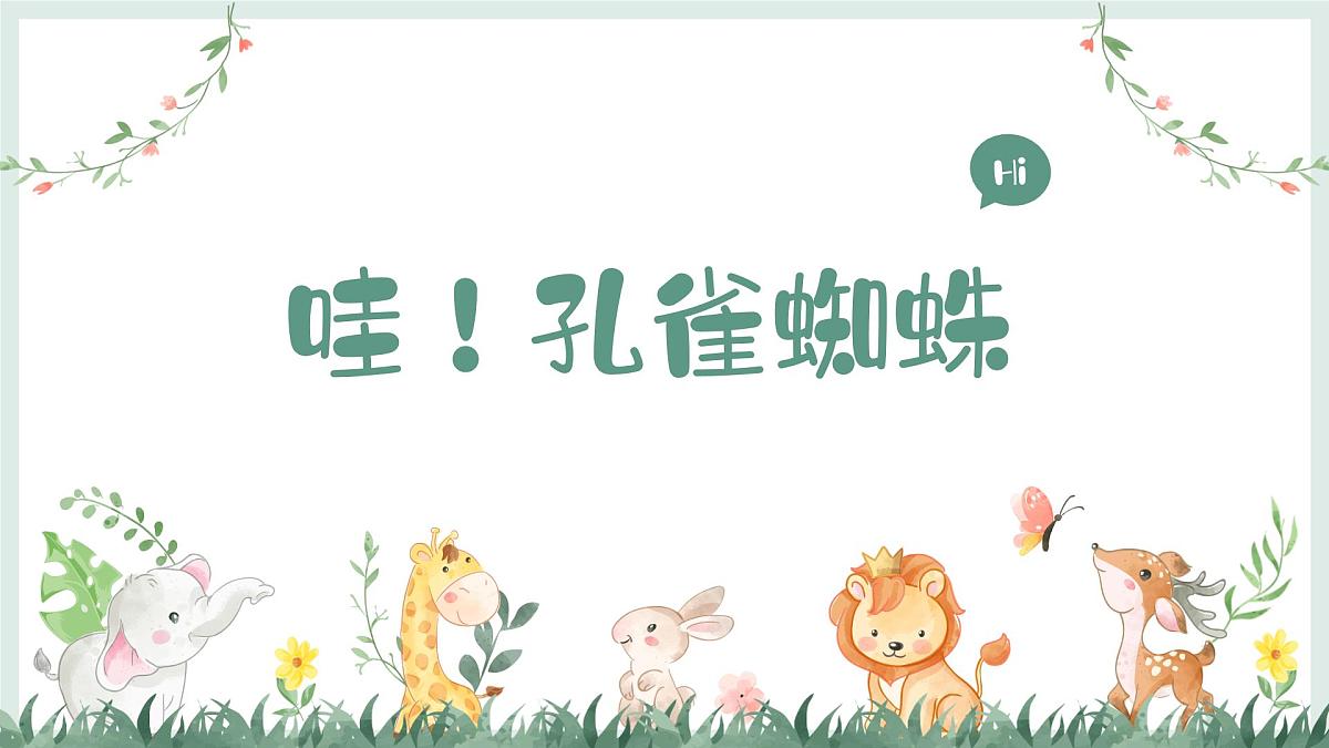 学前教育大班《哇！孔雀蜘蛛》课件第1页