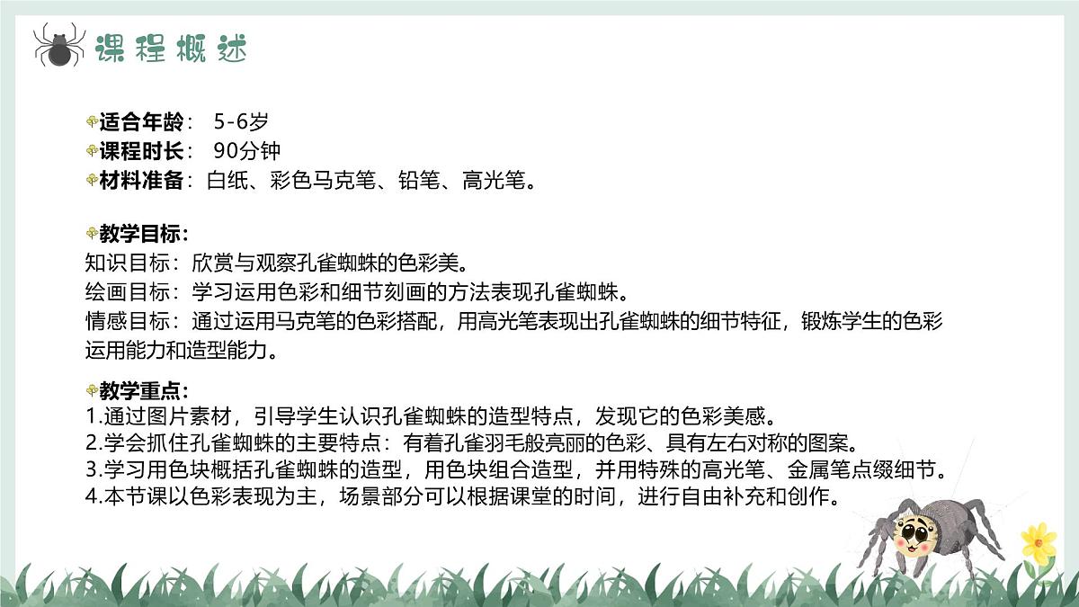 学前教育大班《哇！孔雀蜘蛛》课件第4页