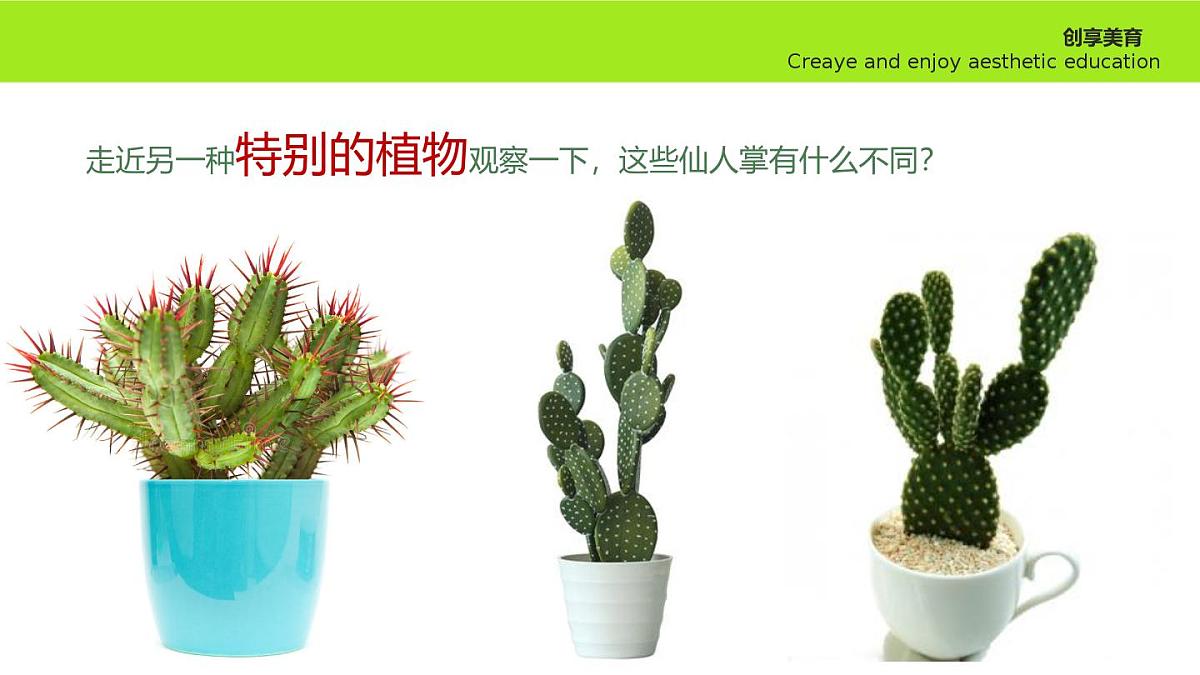 学前教育大班《春暖花开》课件第7页