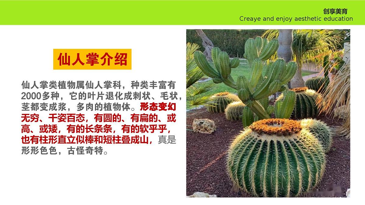 学前教育大班《春暖花开》课件第8页