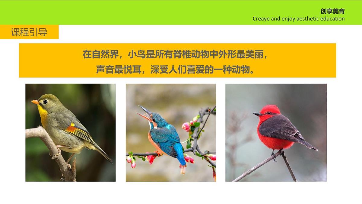 学前教育大班《热闹的大树》课件第4页